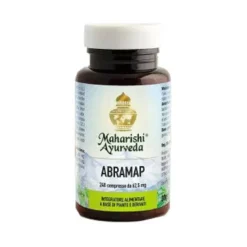 Abramap