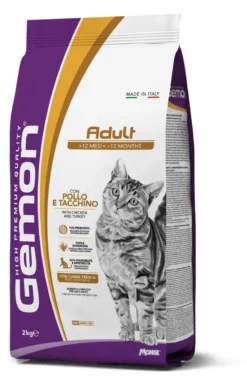 Adult