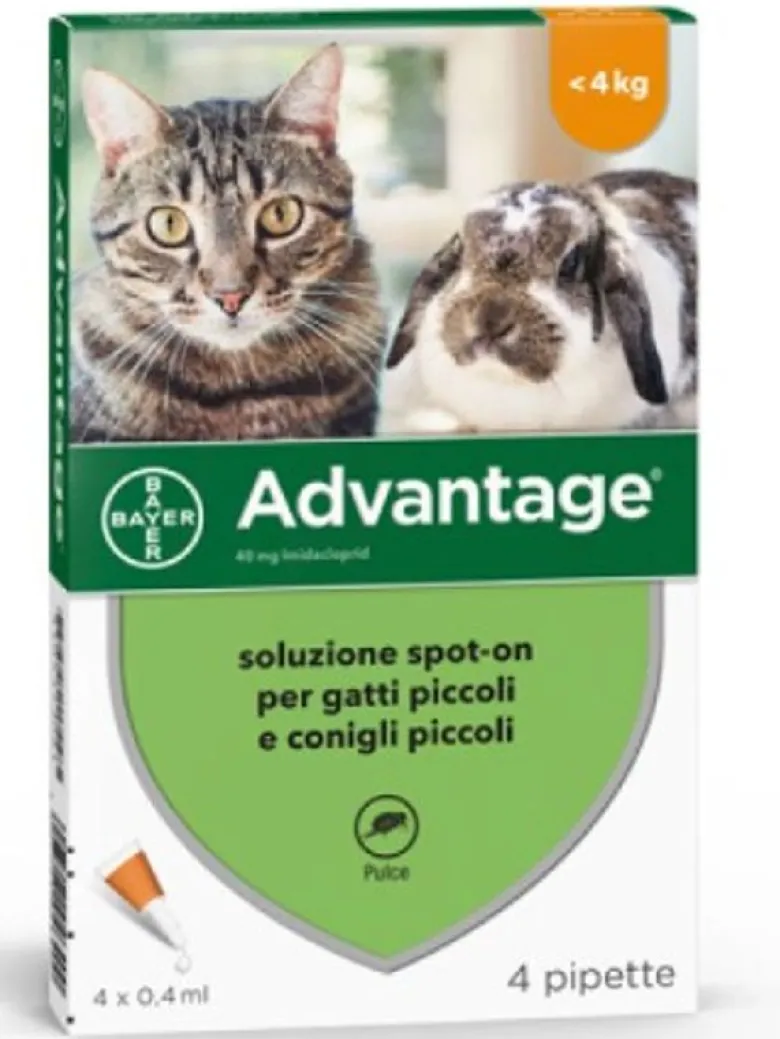 Advantage Spot On 4 Pipette 0,4ml Antiparassitario Gatti/Conigli
