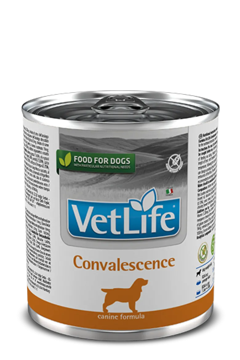 Alimento Umido Per Cani In Ripresa Nutrizionale