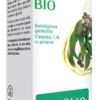 Arkopharma Arko Essentiel Olio Essenziale Eucalipto Bio 10ml