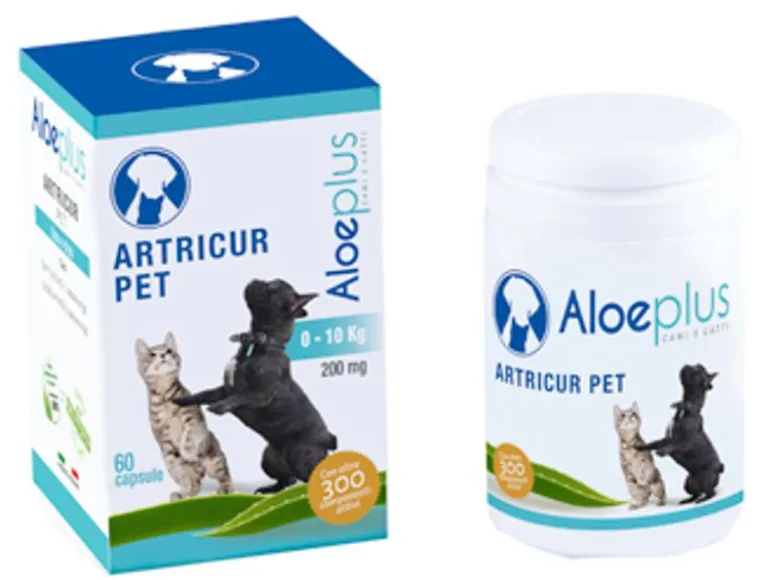 ARTICUR PET