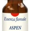 ASPEN