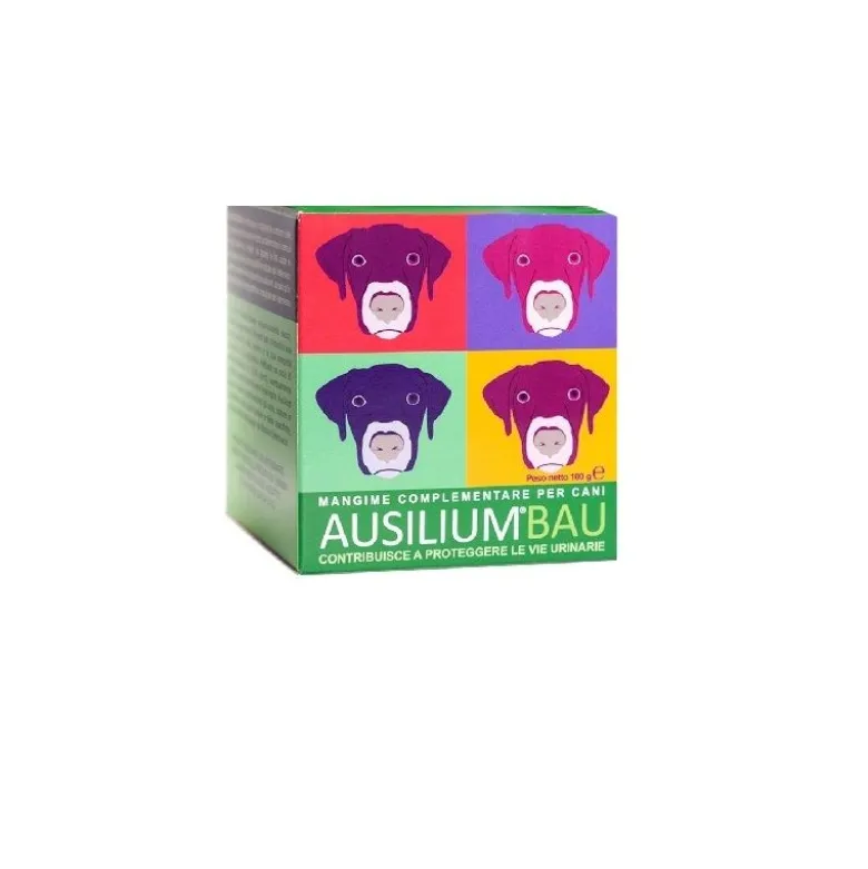 Ausilium Bau 100g