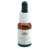 Australian Alpine Mint Bush 15ml