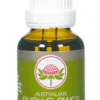 Australian Bush flower Transition 30 ml