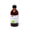 BIANCOSPINO