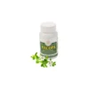 Bliss Ayurveda Ayurera Bacopa 60 Compresse