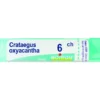 Boiron Crataegus Oxyacantha Granuli 06Ch Tubo 4g