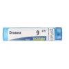 Boiron Drosera 9CH medicinale omeopatico granuli 4g