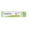 Boiron Pyrogenium 5CH medicinale omeopatico granuli 4g
