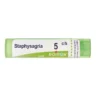 Boiron Staphysagria 5CH medicinale omeopatico granuli 4g
