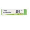 Boiron Thuya Occidentalis 200CH medicinale omeopatico tubo dose 1g