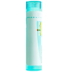 Boiron Thuya Occidentalis 9CH medicinale omeopatico granuli