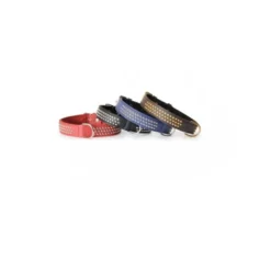 Camon Collare Con Borchiette Nero 15x450mm