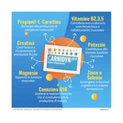 Carnidyn Fast per stanchezza fisica 20 bustine