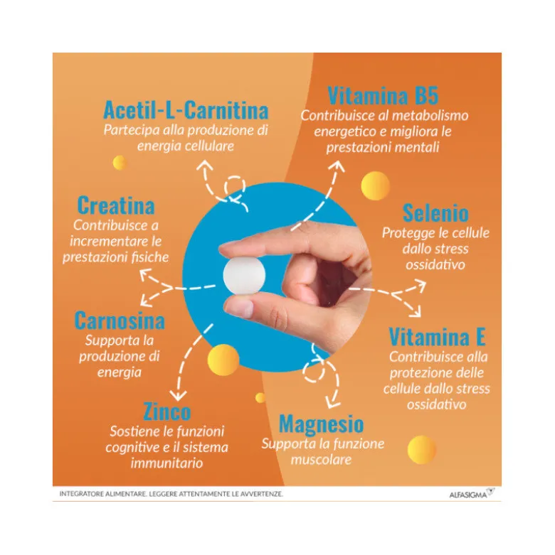 Carnidyn Plus stanchezza fisica e mentale 18 compresse masticabili