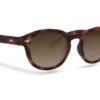 Celebrity Sunglasses Collection