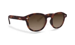 Celebrity Sunglasses Collection