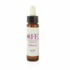 Cemon CFE Fiori Di Bach Chicory 10ml
