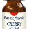 CHERRY PLUM