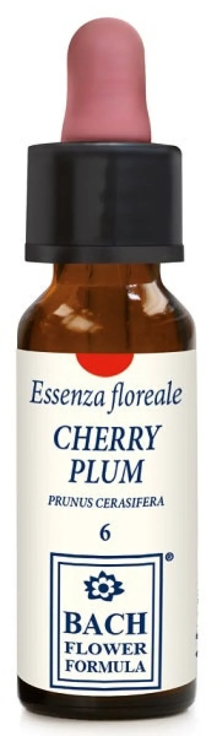 CHERRY PLUM
