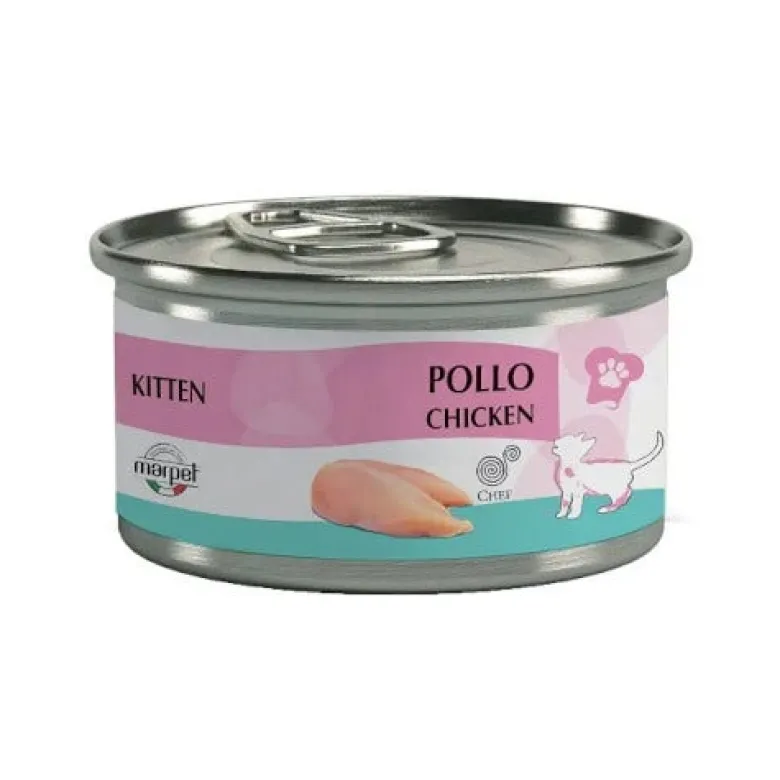Cibo Umido Per Gattini