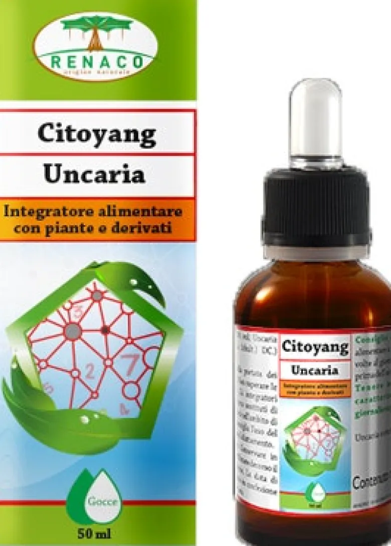 Citoyang Uncaria