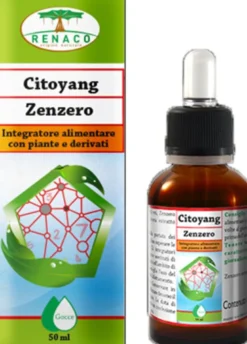 Citoyang Zenzero