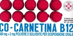 Co-carnetina B12 10 Flaconi 10 ml