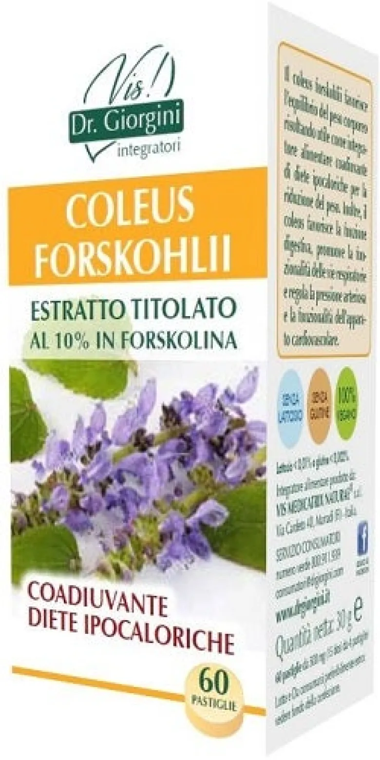 COLEUS FORSKOHLII