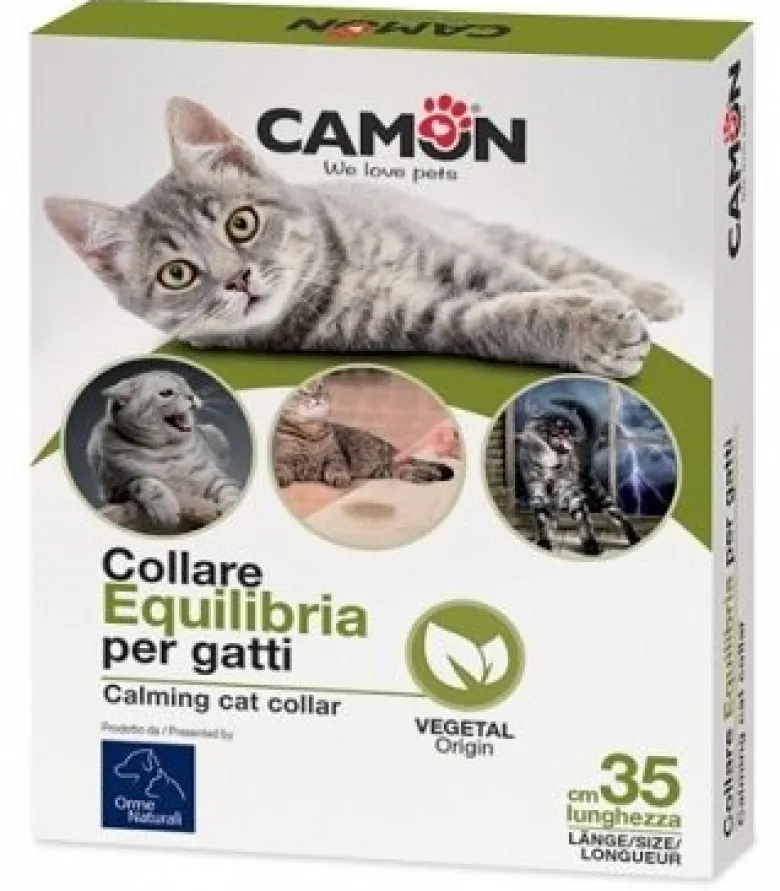Collare Equilibria Gatti
