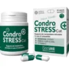 CondroStress+ Cat per gatti affetti da osteoartrite 30 capsule