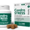 Condrostress Mobility 60 Soft Chews