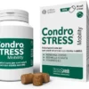 Condrostress Mobility 90 Soft Chews