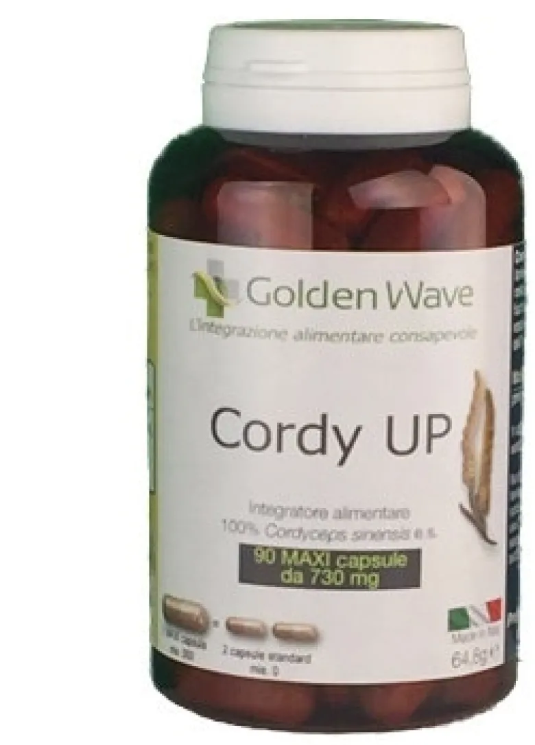 Cordy UP