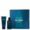 Davidoff Cool Water Intense