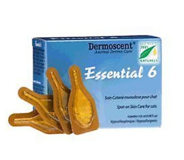 Dermoscent Essential 6 Spot On Gatti 4 pipette