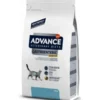 Dieta Veterinaria Per Problemi Gastrointestinali