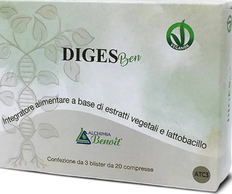 DIGES Ben