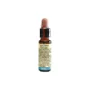 Di Leo Fiori Di Bach 15 Holly 10ml