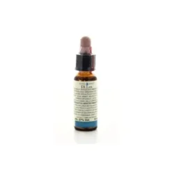 Di Leo Fiori Di Bach Olive 10ml