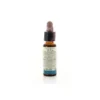Di Leo Fiori Di Bach Red Chestnut 10ml