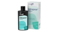 Ditrapsor Shampoo 100ml