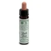 DR.BACH Rock Rose Ainsworths
