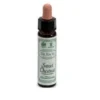DR.BACH  Sweet Chestnut Ainsworths