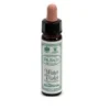 DR.BACH Water Violet Ainsworths