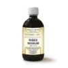 Dr. Giorgini Gemmo 10+ Ribes NIgrum (ribes nero) 500 ml