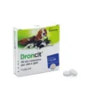 Droncit 50mg cani e gatti 2 compresse