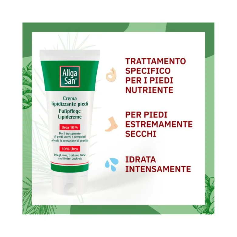 Dr Theiss Allgasan Crema Lipidizzante Piedi 100ml